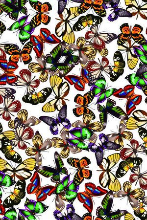 大自然印花华亿平台图片