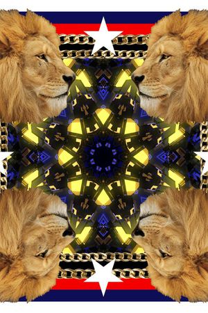 狮子头印花华亿平台图片