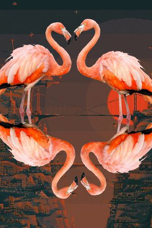 时尚印花华亿平台图片