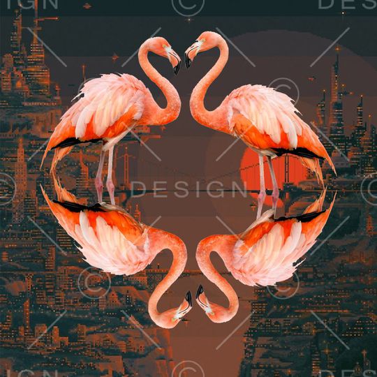 时尚印花华亿平台图片