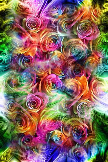 494021-五彩缤纷的花