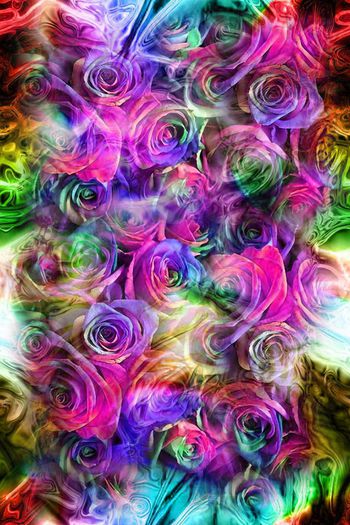 494022-五彩缤纷的花