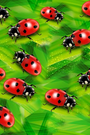 昆虫瓢虫印花华亿平台图片