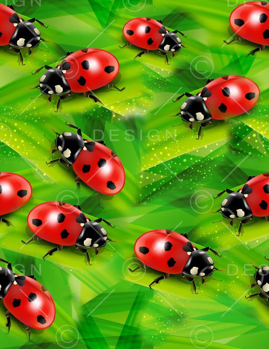 昆虫瓢虫印花华亿平台图片