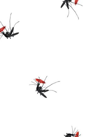 数码印花印花华亿平台图片