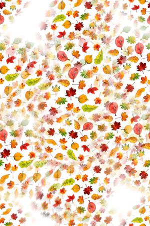 扉页印花华亿平台图片