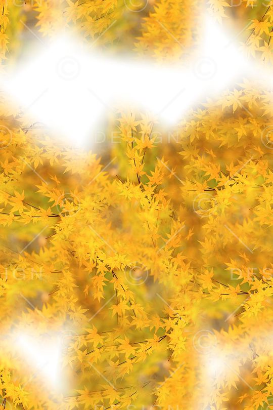 时尚印花华亿平台图片