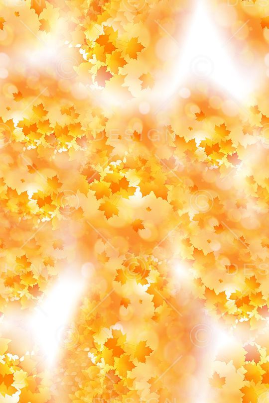 大牌印花华亿平台图片