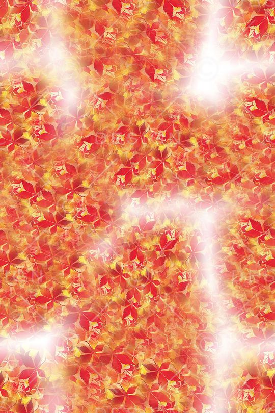 时尚印花华亿平台图片