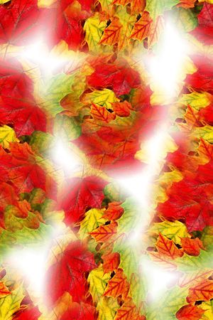 大牌印花华亿平台图片