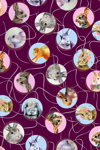 494388-水彩 兔子 波普原点  时尚清新