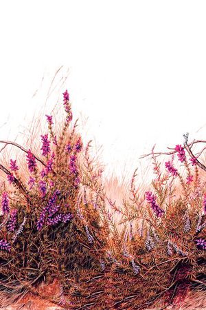 原创印花华亿平台图片