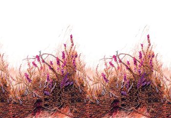 494430-原创大牌植物杂草花卉