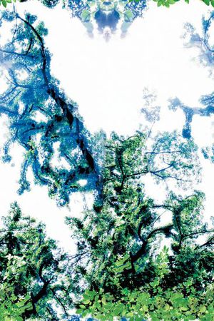 原创印花华亿平台图片