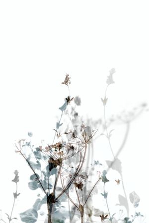 时尚休闲印花华亿平台图片