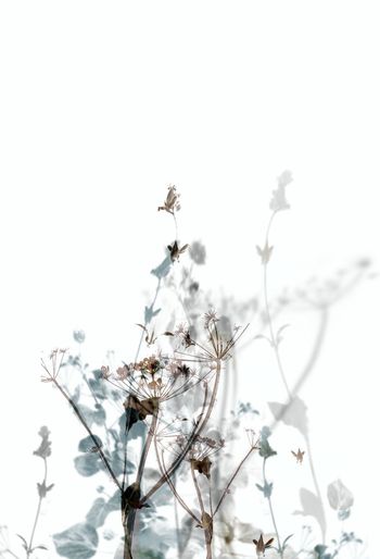 时尚休闲印花华亿平台图片