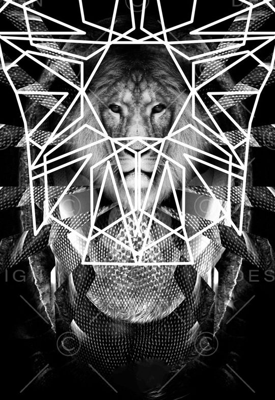 潮流时尚印花华亿平台图片