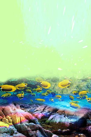 鱼水印花华亿平台图片