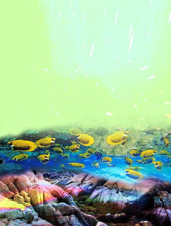 鱼水印花华亿平台图片