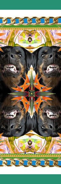 动物狗头印花华亿平台图片