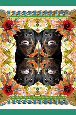 动物狗头印花华亿平台图片