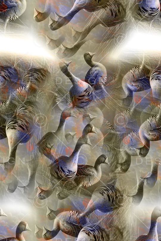 时尚印花华亿平台图片