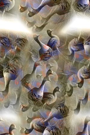 时尚印花华亿平台图片