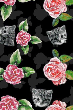 可爱猫头印花华亿平台图片