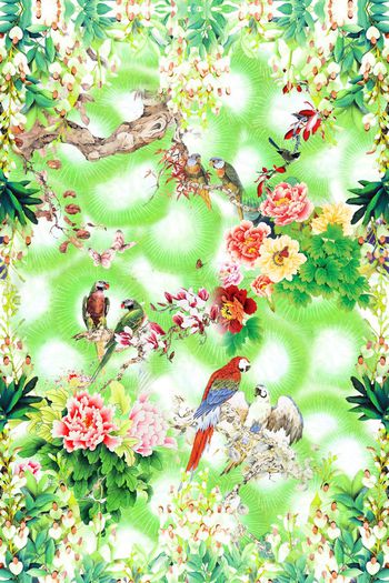 495026-中国风时尚花鸟组合