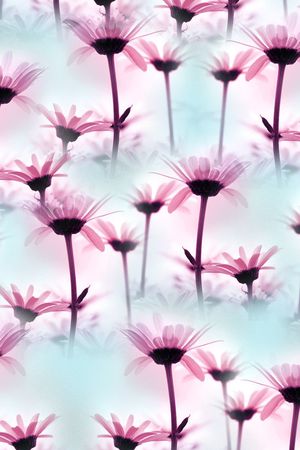 时尚印花华亿平台图片