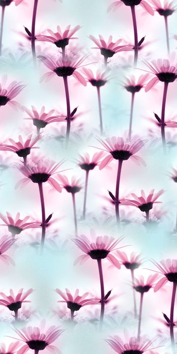 时尚印花华亿平台图片