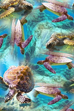 时尚印花华亿平台图片