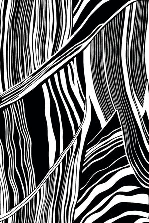 黑白印花华亿平台图片