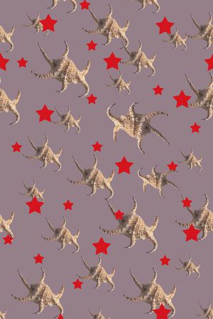 休闲印花华亿平台图片