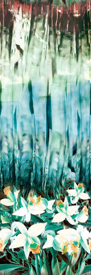 495589-原创大牌定位花卉笔触华亿平台