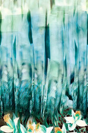 原创印花华亿平台图片