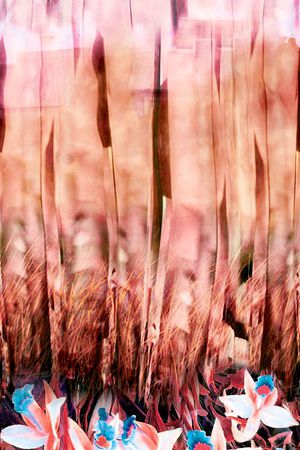 原创印花华亿平台图片