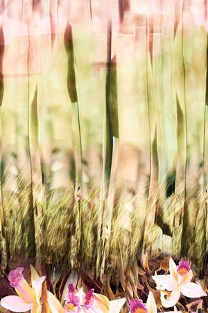 原创印花华亿平台图片