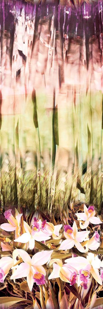 495591-原创大牌定位花卉笔触华亿平台