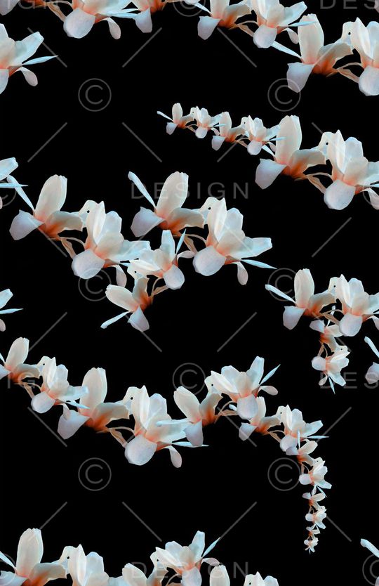 黑底印花华亿平台图片