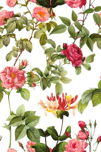 495752-时尚亮丽数码花卉2