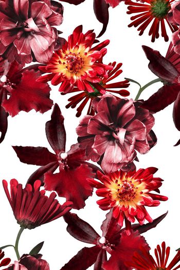 495759-时尚亮丽红色花卉3