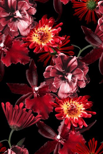 495760-时尚亮丽红色花卉3