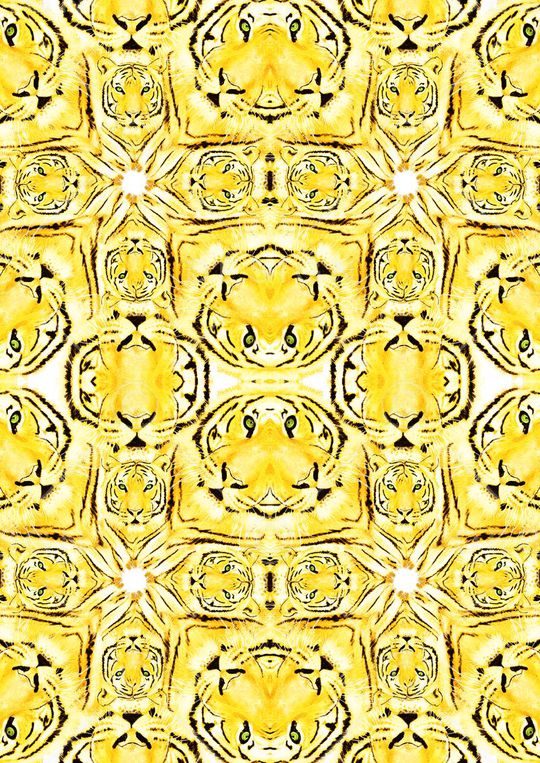 老虎头印花华亿平台图片