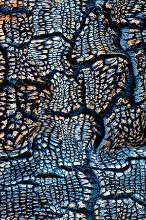 肌理印花华亿平台图片