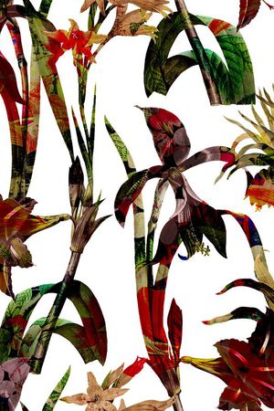 五彩印花华亿平台图片