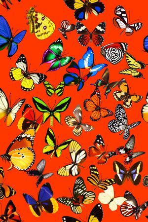 休闲印花华亿平台图片