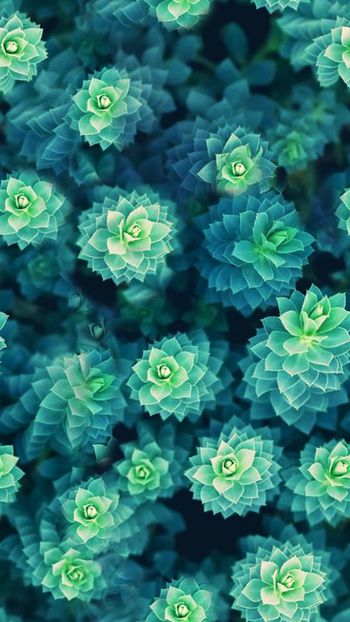 496480-流行时尚手绘花卉印花-水彩系列