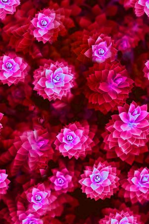 流行时尚印花华亿平台图片