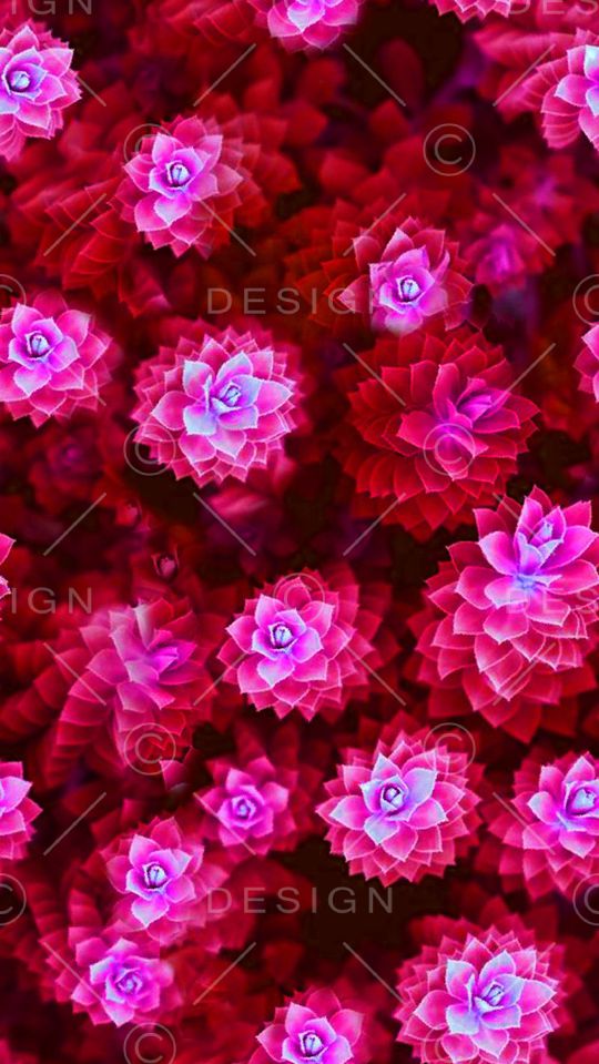 流行时尚印花华亿平台图片